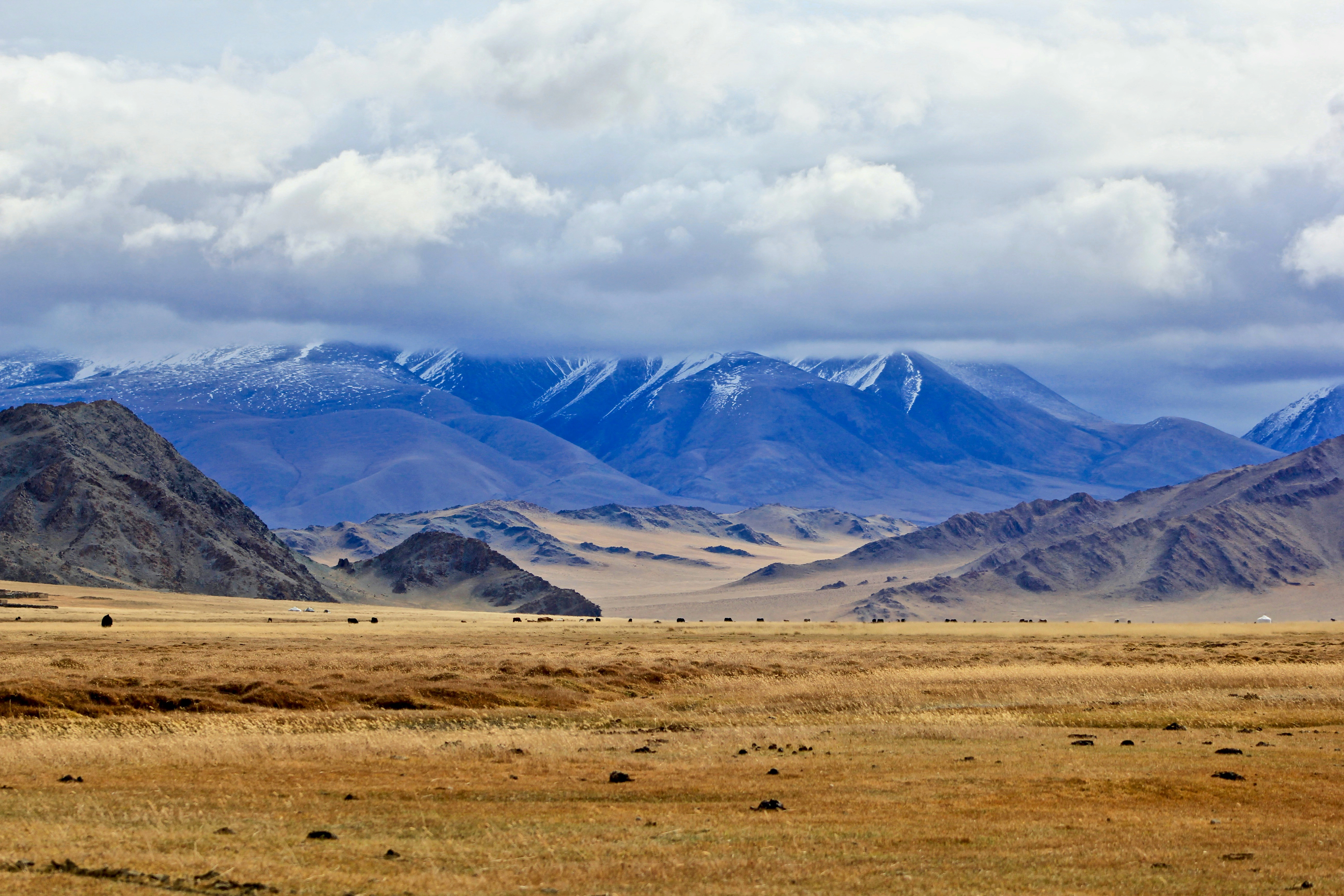 Mongolia